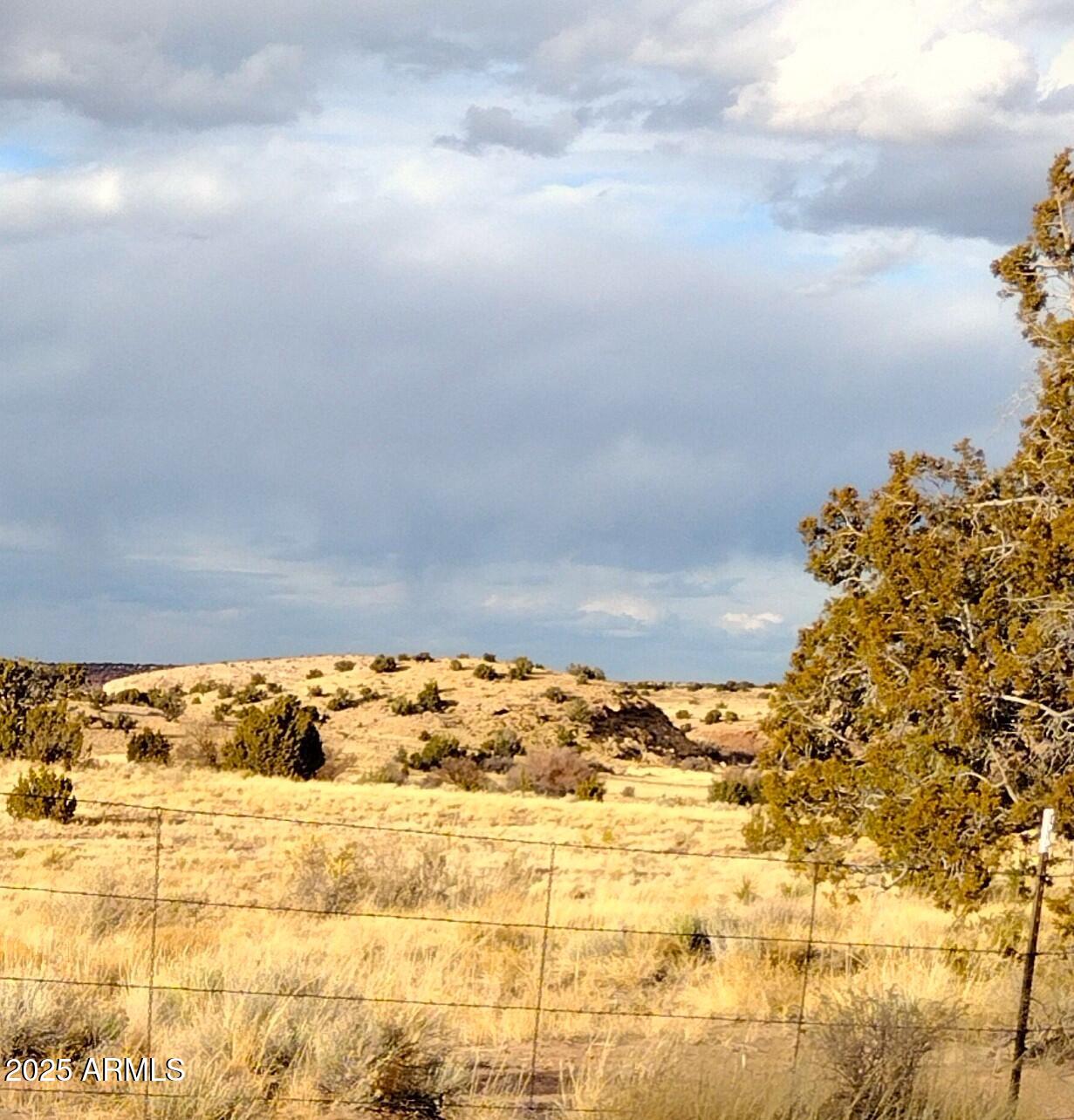 Lot 95 River Springs Ranch, Unit 95 St. Johns, AZ 85936 - Photo 21 of 27 RSR.95.8