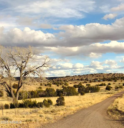 $107,900 | Lot 95 River Springs Ranch, Unit 95, St. Johns, AZ 85936