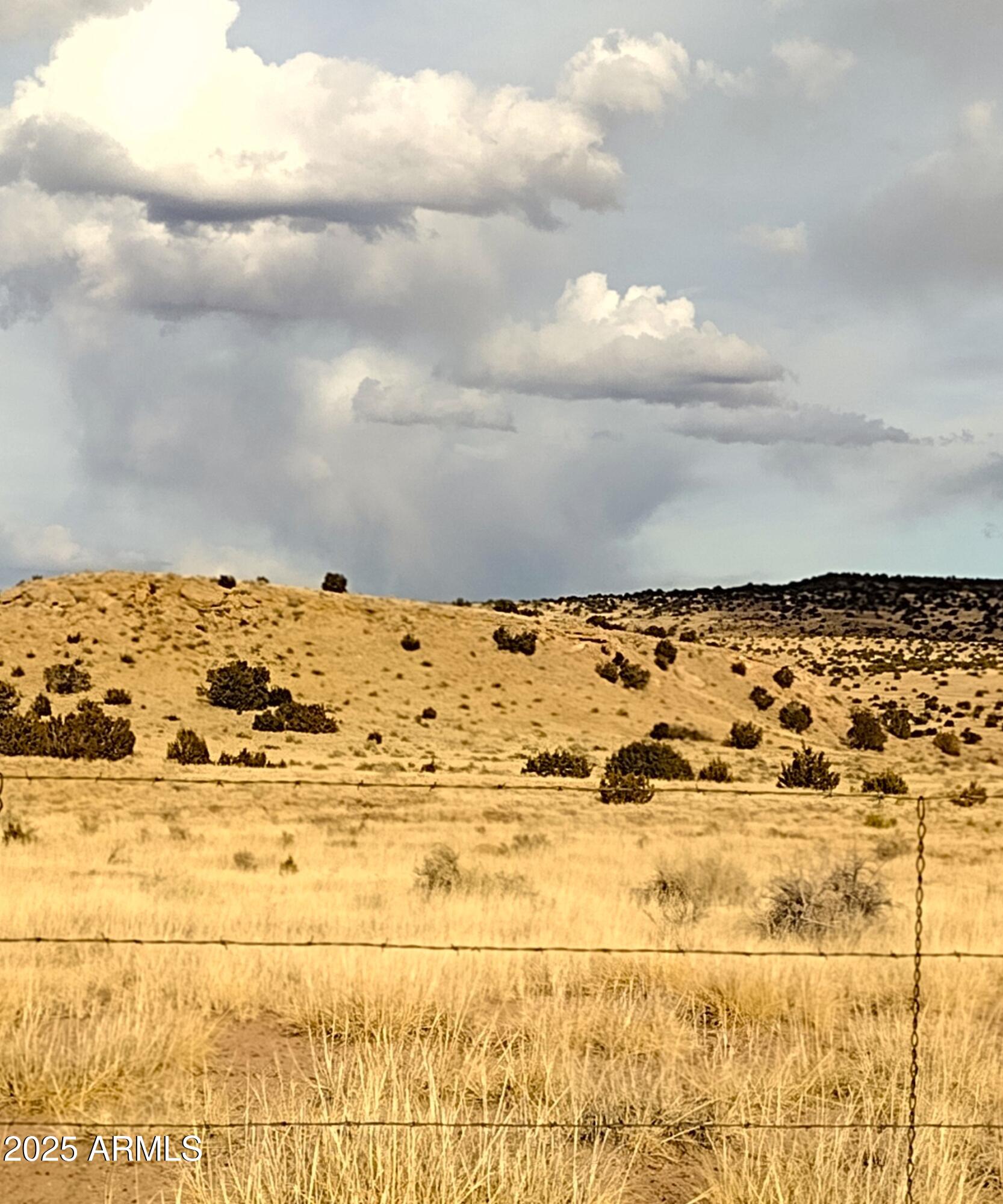 Lot 95 River Springs Ranch, Unit 95 St. Johns, AZ 85936 - Photo 23 of 27 RSR.95.4