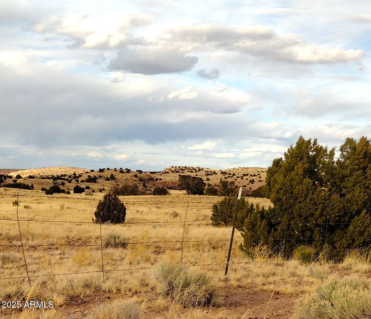 Lot 95 River Springs Ranch, Unit 95 St. Johns, AZ 85936 - Photo 26 of 27 RSR.95.6