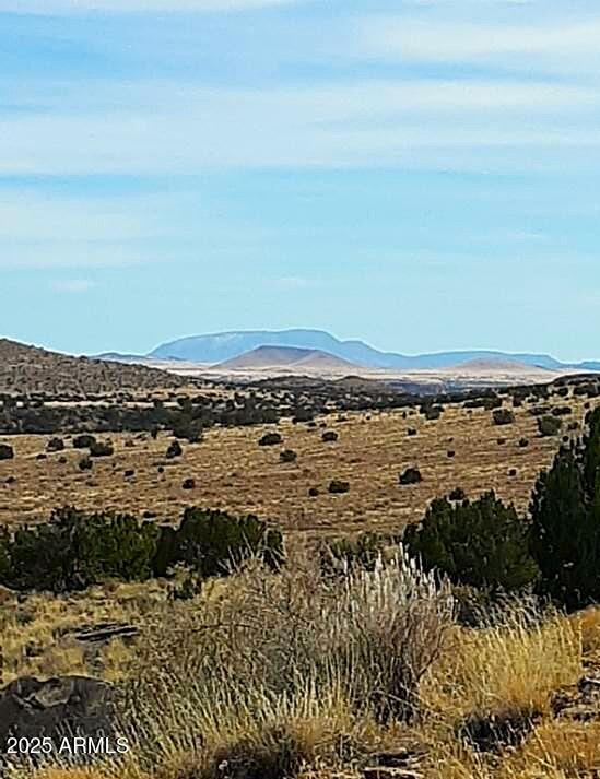 Lot 95 River Springs Ranch, Unit 95 St. Johns, AZ 85936 - Photo 27 of 27 RSR.95.SE.view