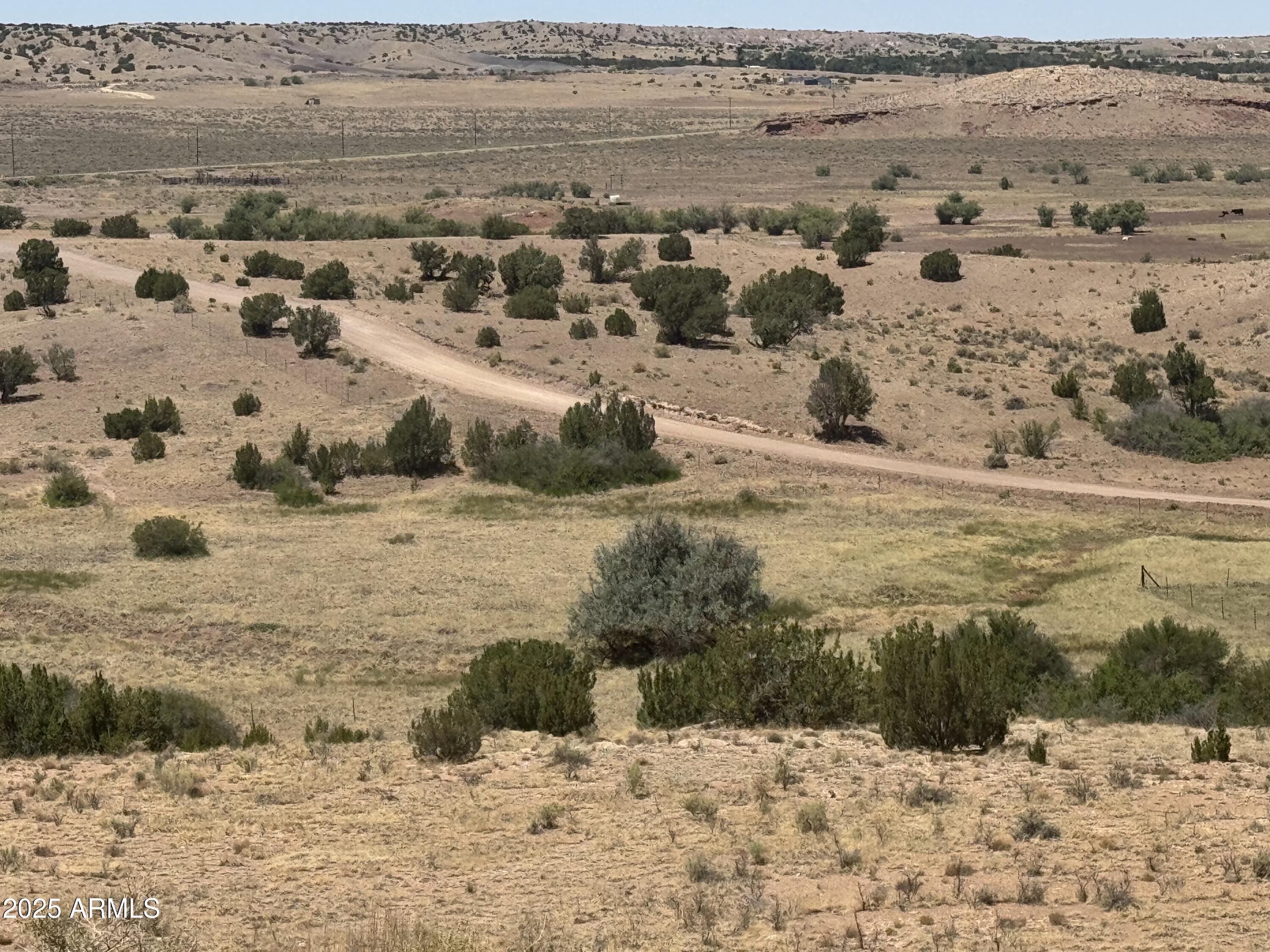 Lot 95 River Springs Ranch, Unit 95 St. Johns, AZ 85936 - Photo 3 of 27 IMG_8714