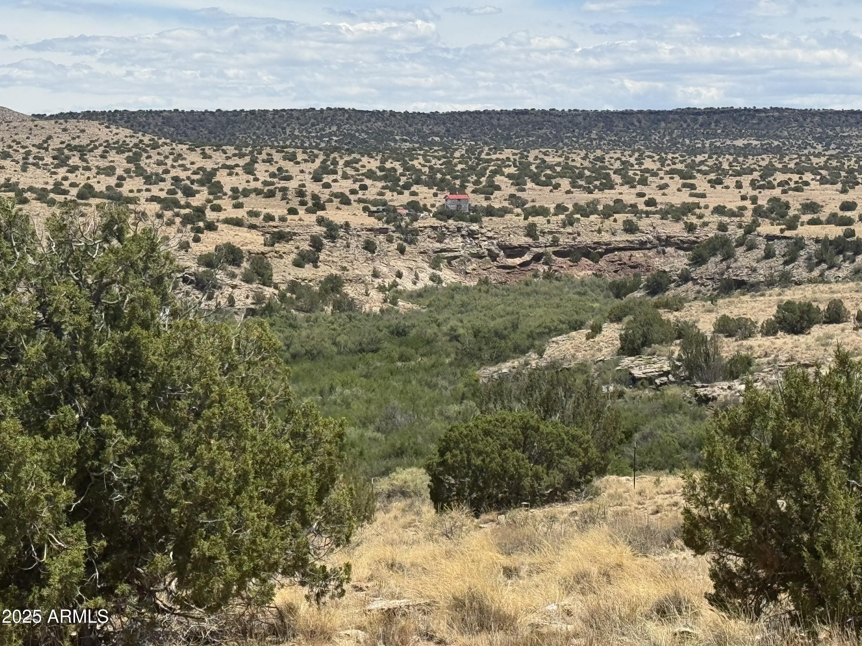 Lot 95 River Springs Ranch, Unit 95 St. Johns, AZ 85936 - Photo 9 of 27 IMG_8710