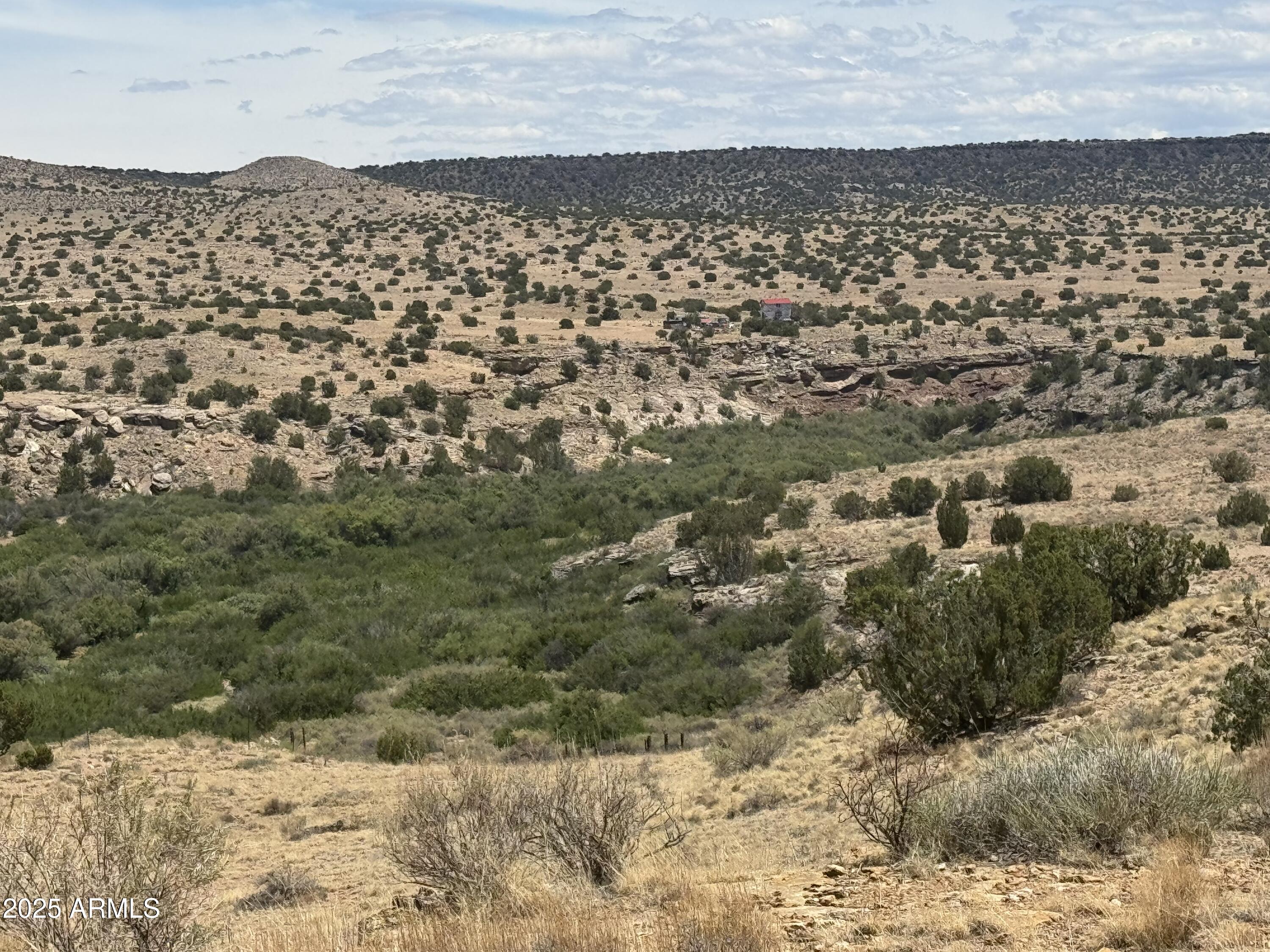 Lot 95 River Springs Ranch, Unit 95 St. Johns, AZ 85936 - Photo 10 of 27 IMG_8715