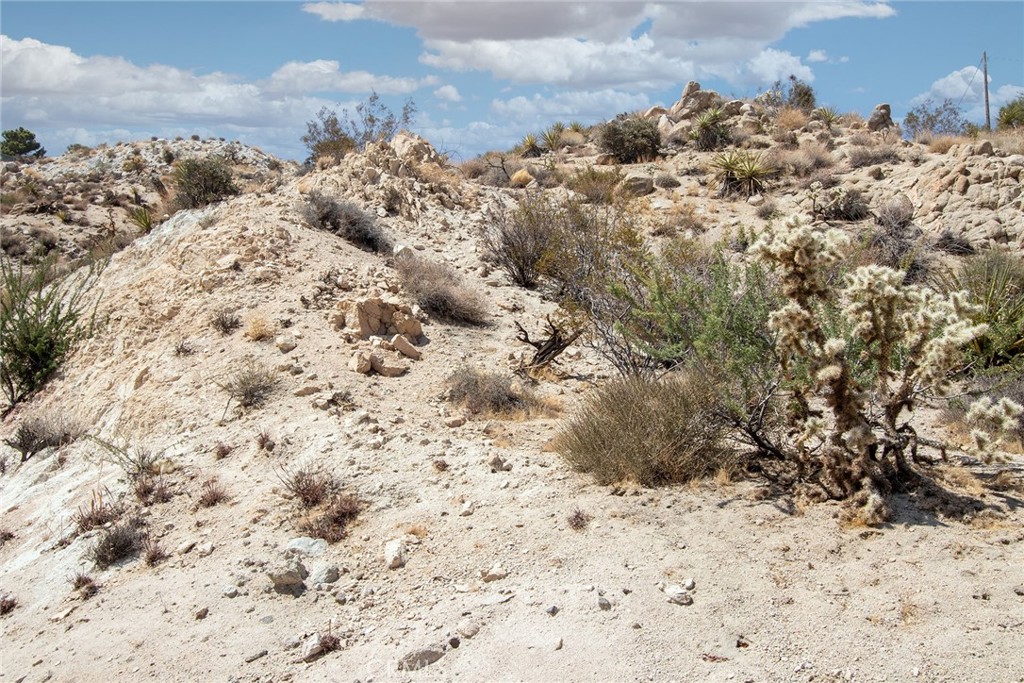 999 Mandarin Road Yucca Valley, CA 92284 - Photo 10 of 13