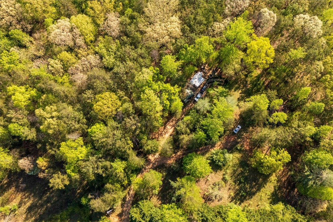 930 Nimmons Bridge Road Salem, SC 29676 - Photo 16 of 19 This expansive aerial view reveals a private, heavily wooded lot with a secluded residence.