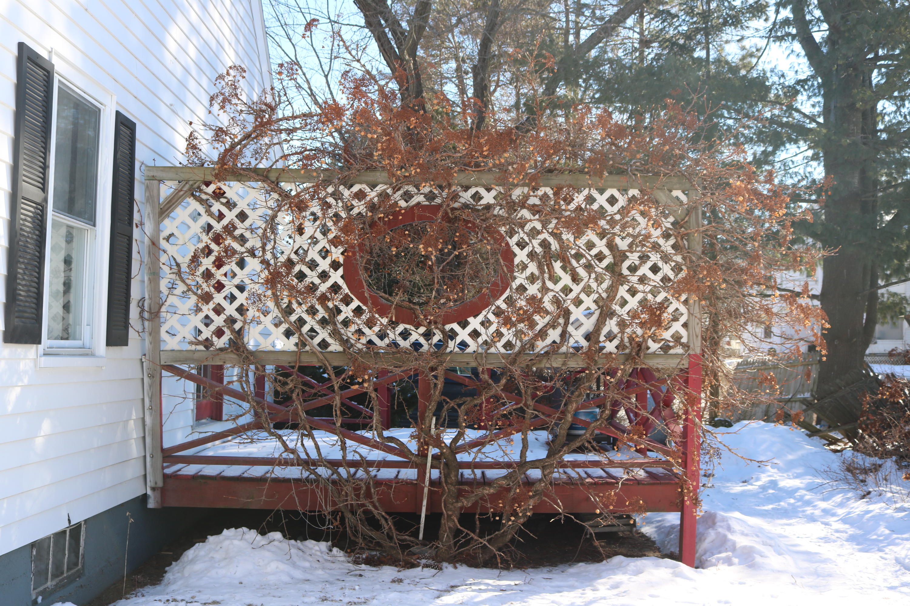 1 Gingerbread Lane Waterville, ME 04901 - Photo 32 of 36 Privacy screen on deck