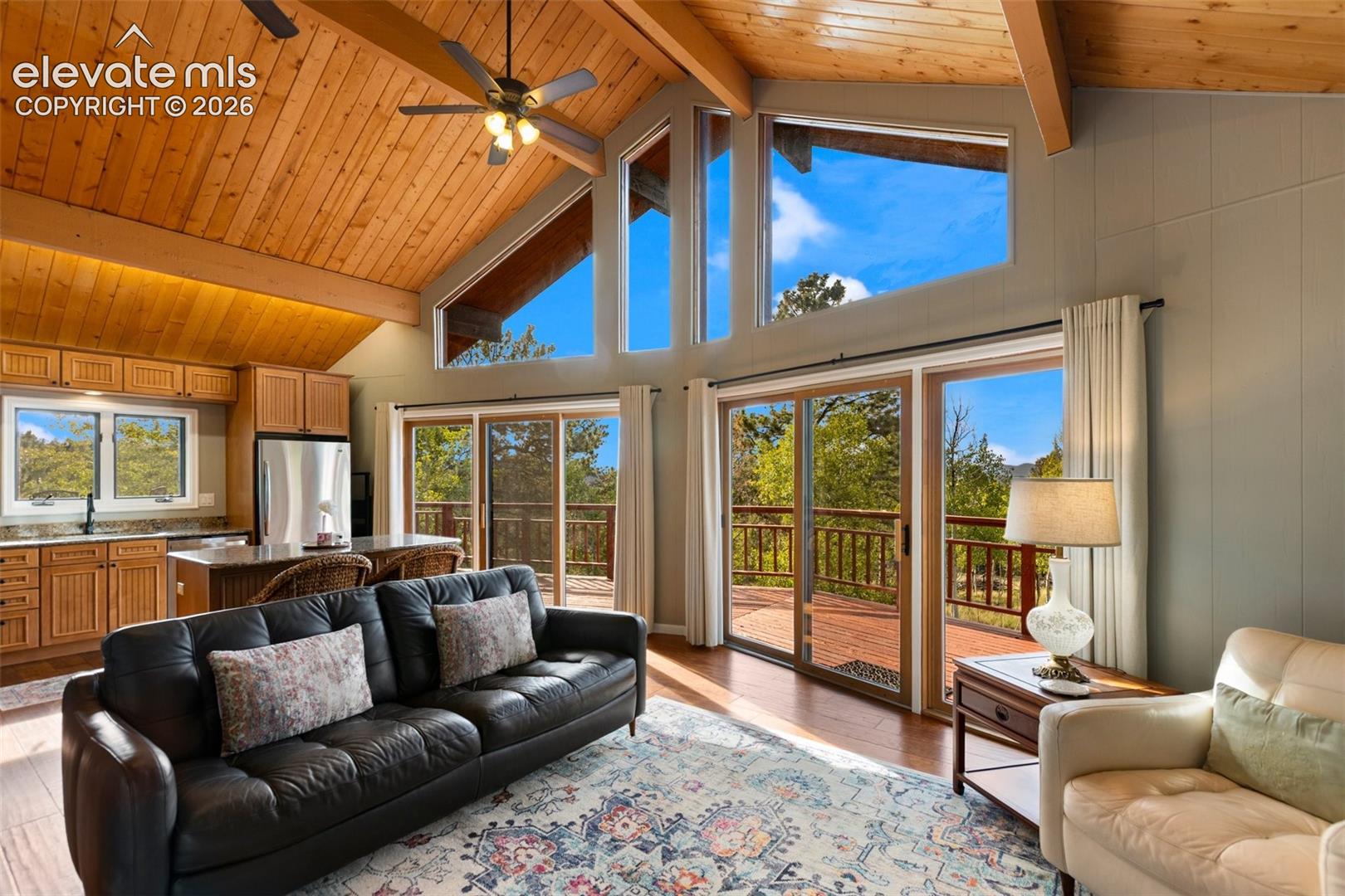 307 Berylium Road Florissant, CO 80816 - Photo 7 of 49 Gallery Image 7