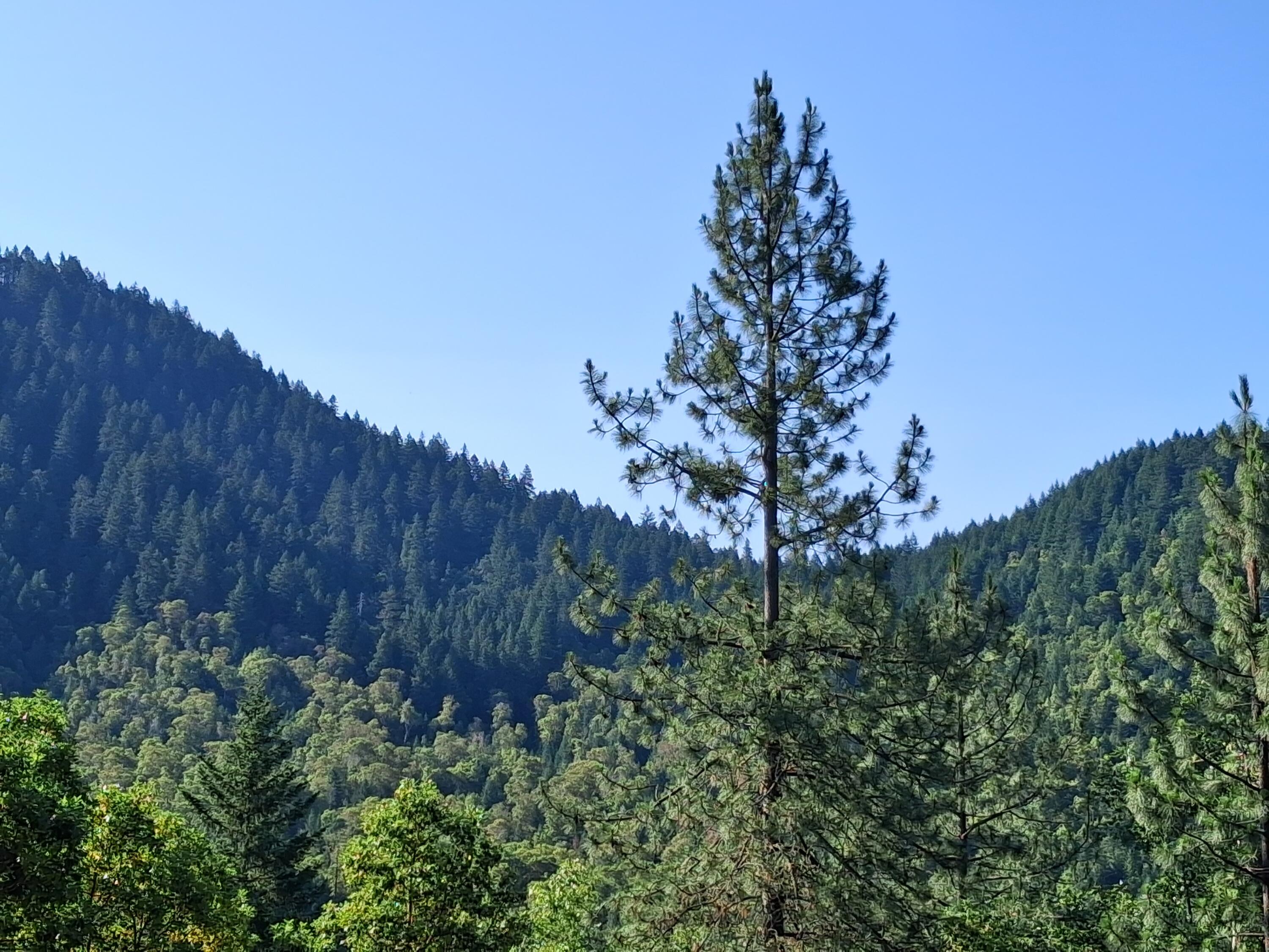 416 Warner Road Wolf Creek, OR 97497 - Photo 11 of 16