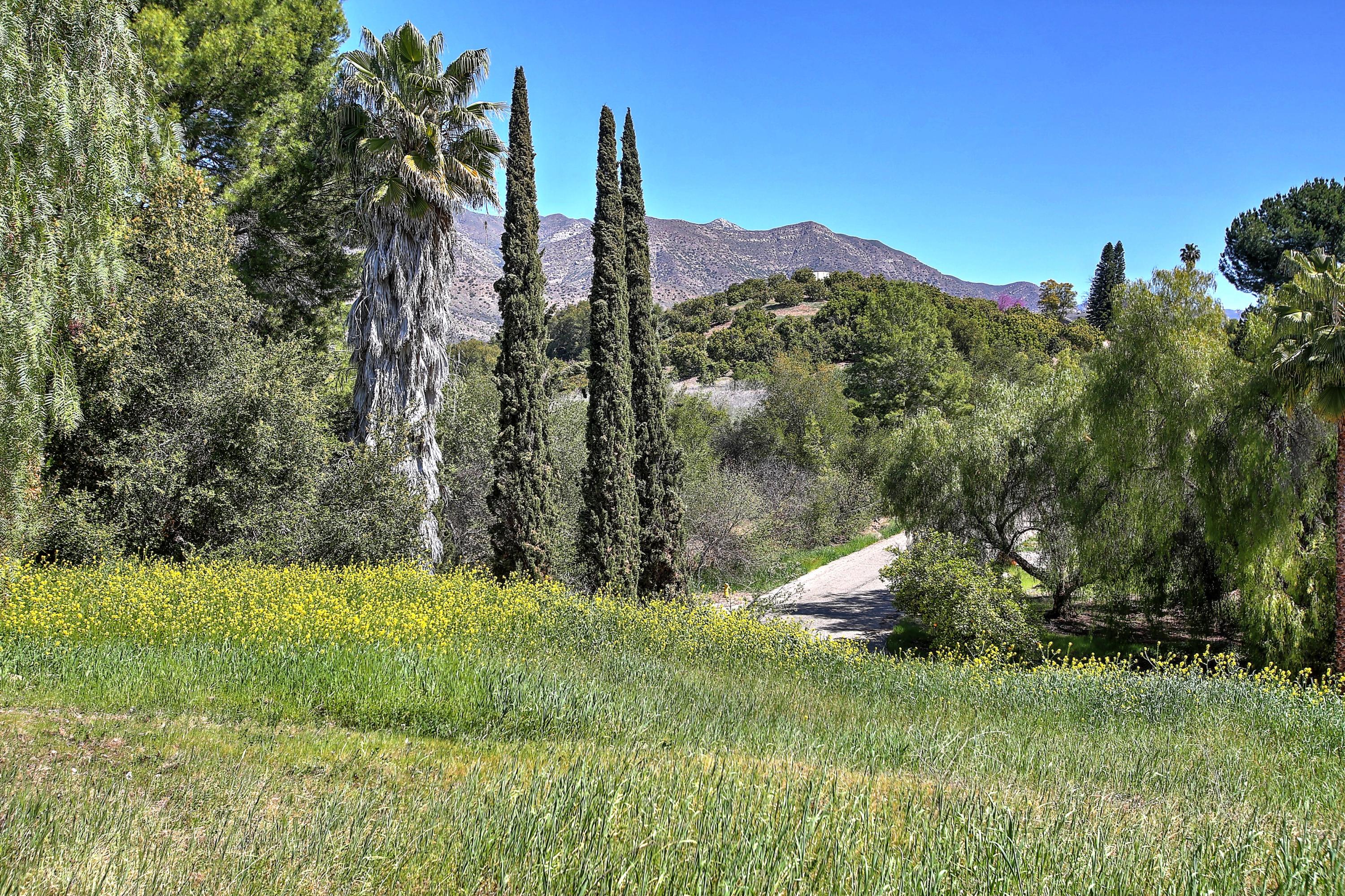 2080 Maricopa Highway Ojai, CA 93023 - Photo 11 of 47 a view of a yard with a house