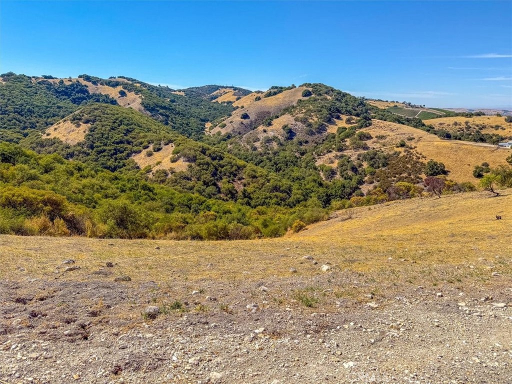 1475 Fern Canyon Road Paso Robles, CA 93446 - Photo 22 of 31 a view of a dry yard with mountains in the background