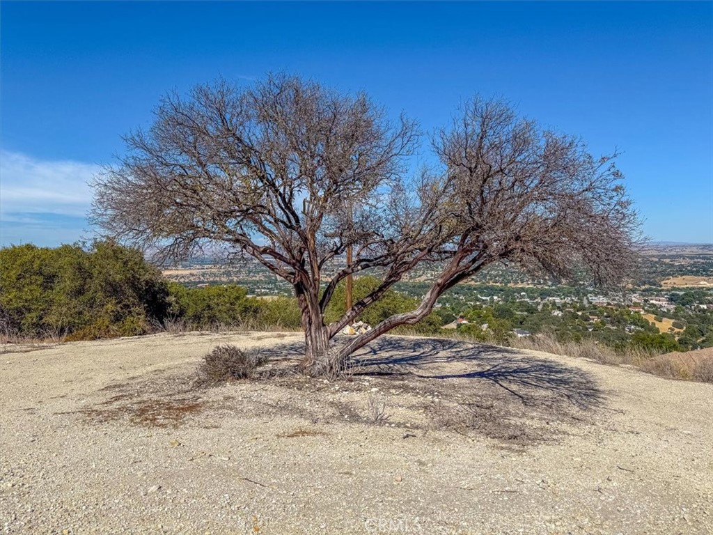 1475 Fern Canyon Road Paso Robles, CA 93446 - Photo 26 of 31 a view of dirt yard