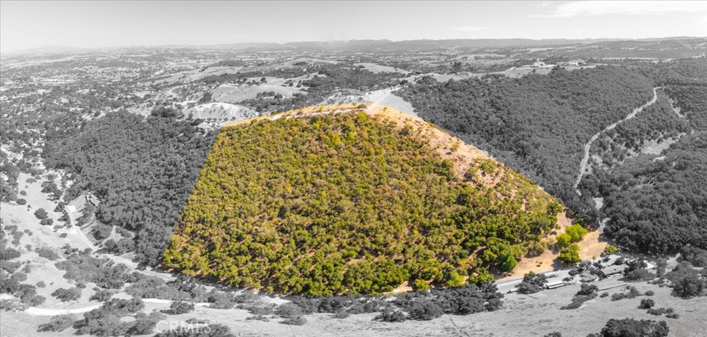 1475 Fern Canyon Road Paso Robles, CA 93446 - Photo 8 of 31 a view of a large garden
