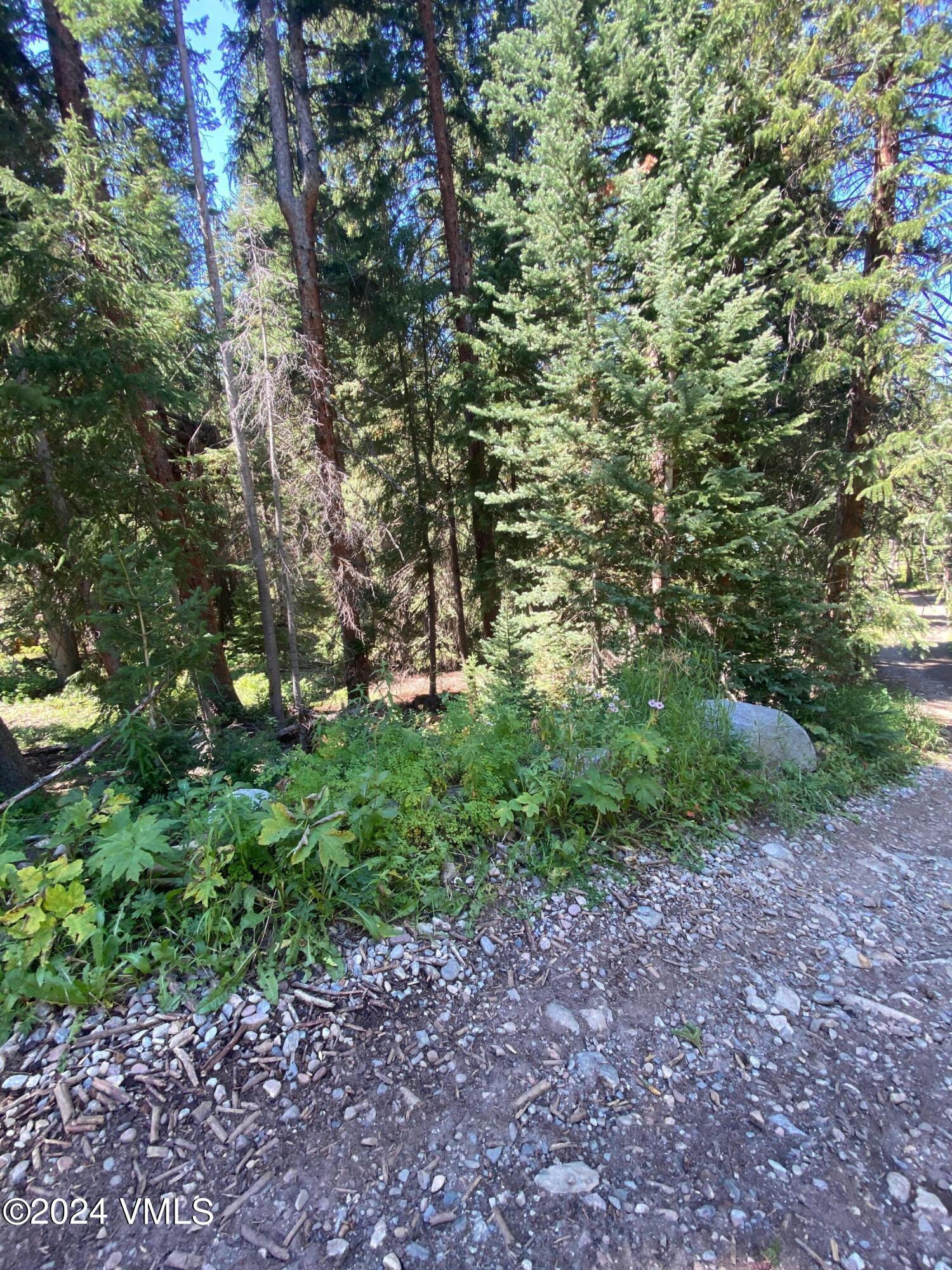 100 West 5th Street Eagle, CO 81631 - Photo 11 of 21 IMG_8697
