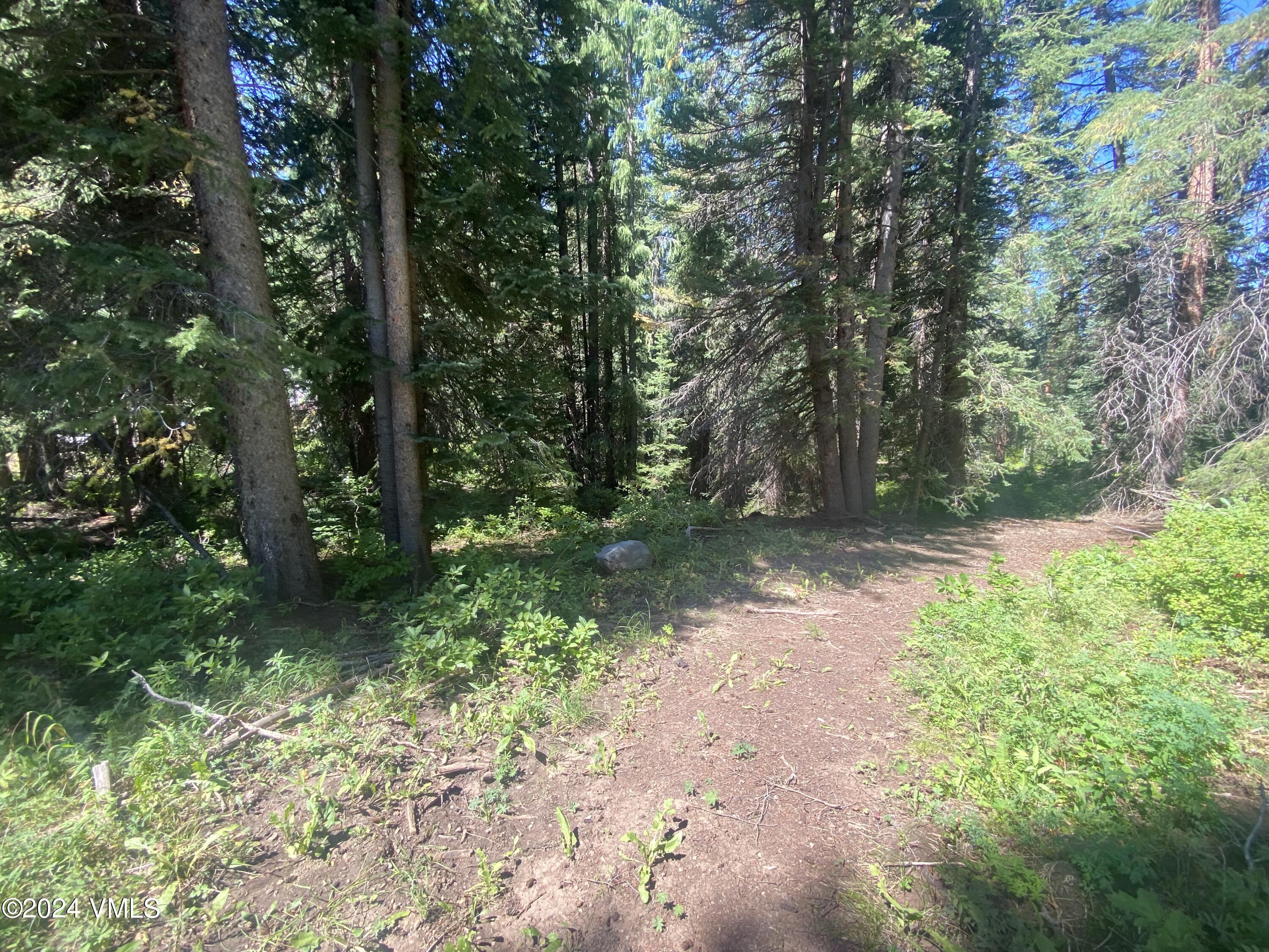100 West 5th Street Eagle, CO 81631 - Photo 3 of 21 IMG_3704