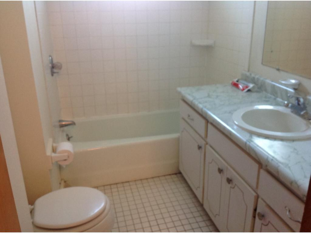 357 Cedar Grove Road Johnson City, TN 37601 - Photo 20 of 30 Guest bath on main level