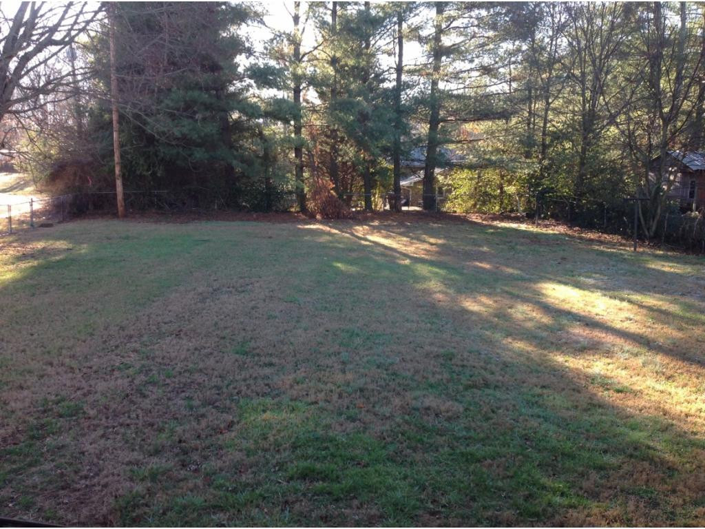 357 Cedar Grove Road Johnson City, TN 37601 - Photo 30 of 30 Level back yard