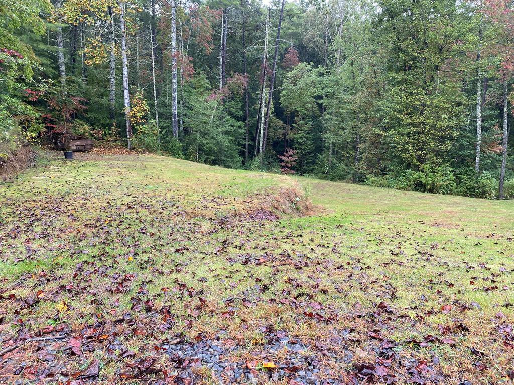 926 Ranger Road Murphy, NC 28906 - Photo 24 of 33