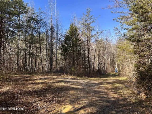 a view of outdoor space with trees