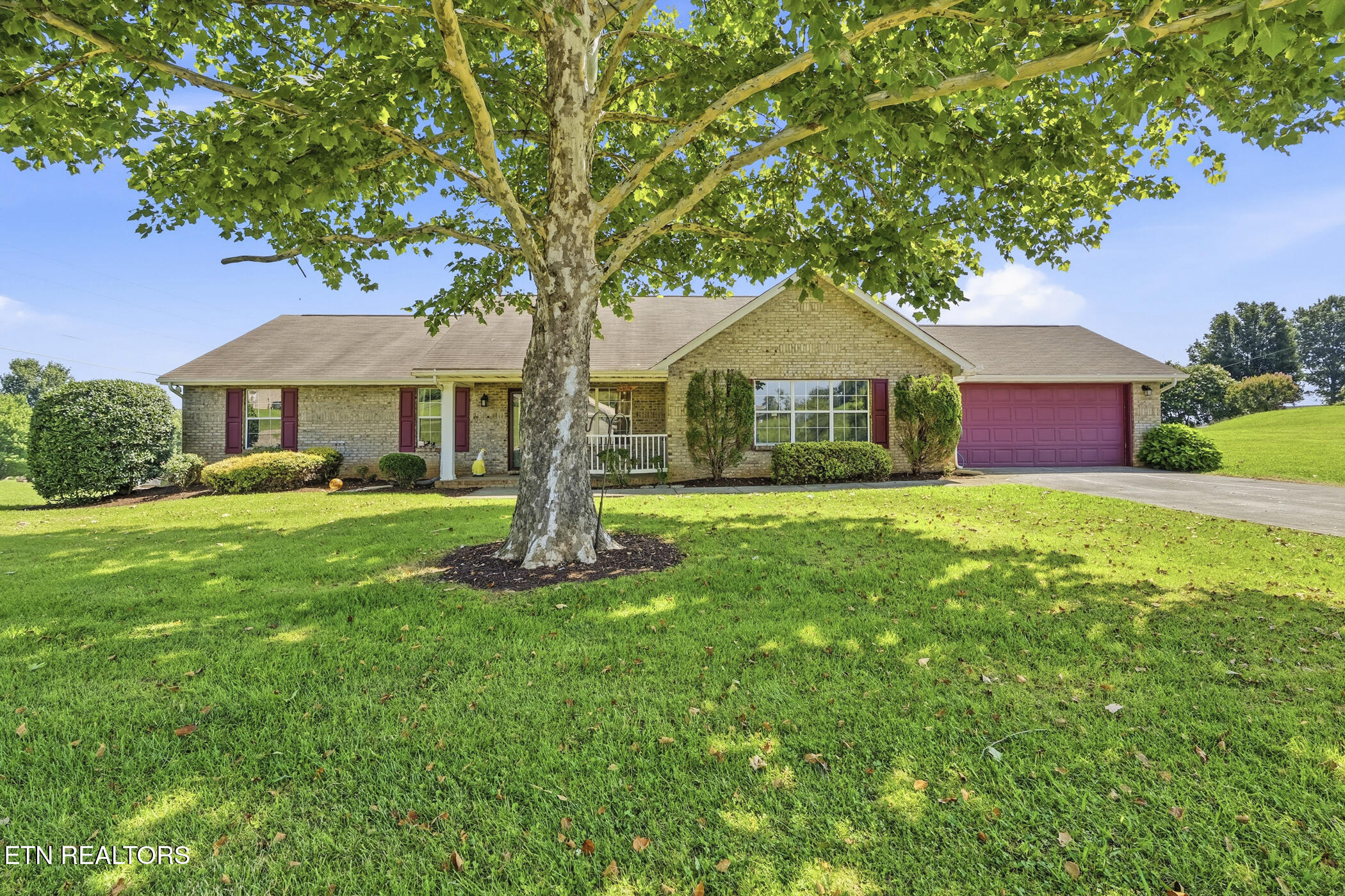 1324 Prairie Place Greenback, TN 37742 - Photo 3 of 39 dsc05265