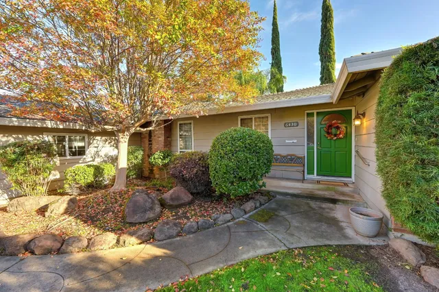 a view of a backyard with potted plants