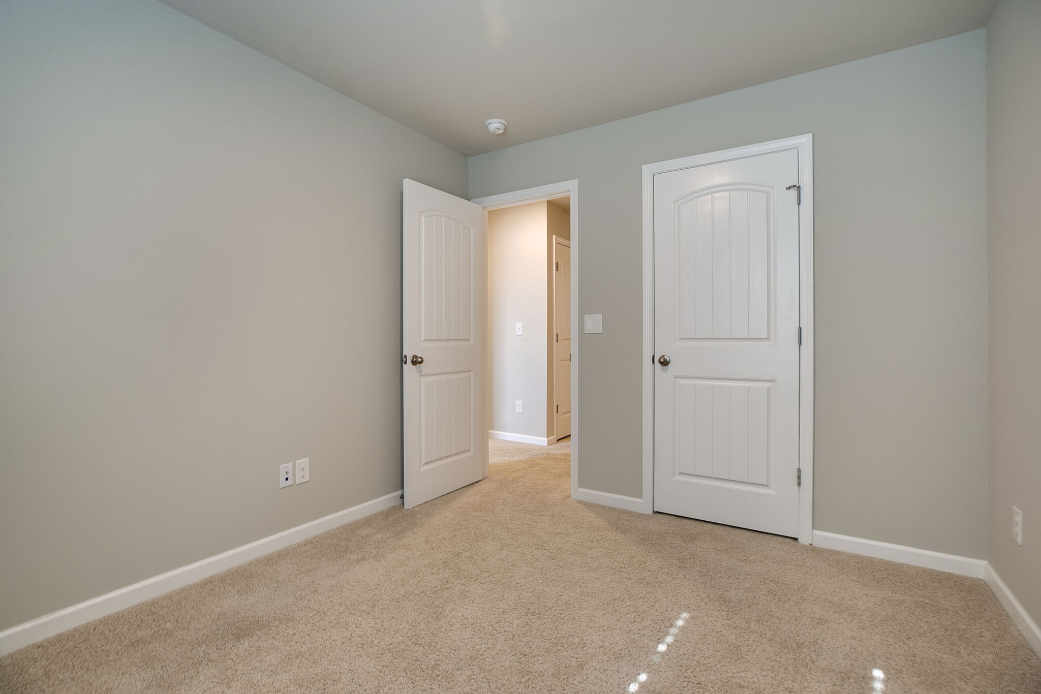 4283 Grapevine Loop Smyrna, TN 37167 - Photo 22 of 30