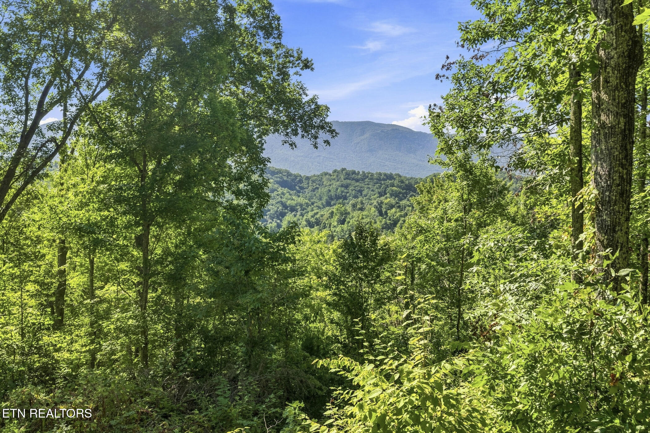 2453 Lower Rinehart Road Dandridge, TN 37725 - Photo 27 of 37 dsc06871