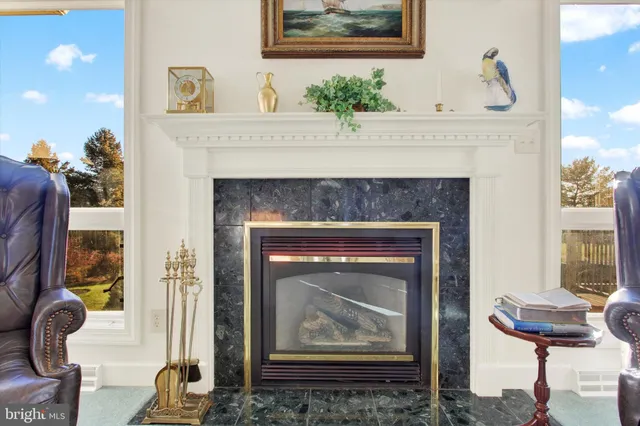 a living room with a fireplace and a potted plant