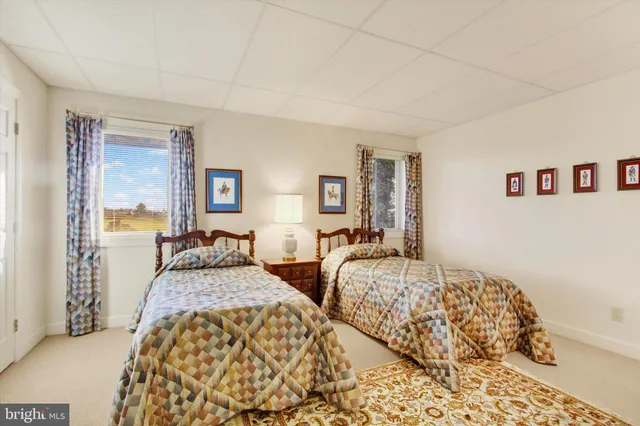 a bedroom with two beds and a potted plant