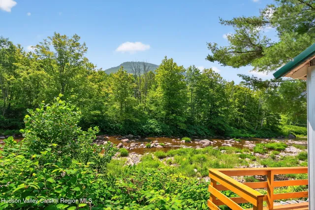a view of a yard with yellow plants