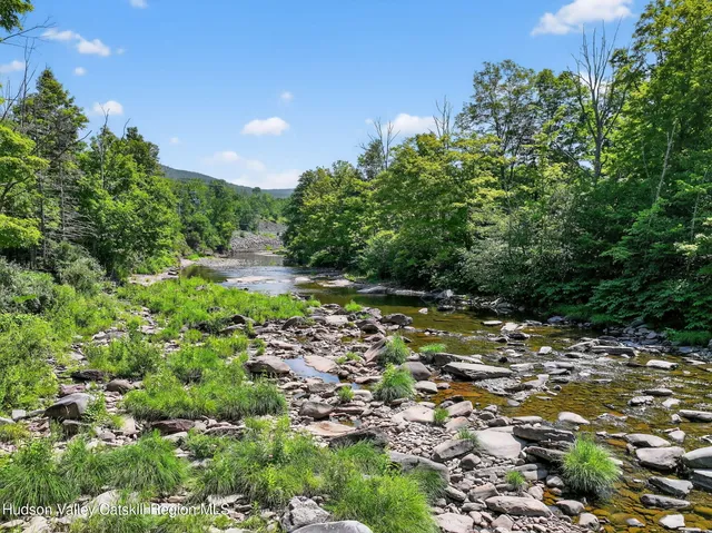 a view of a tree with a yard