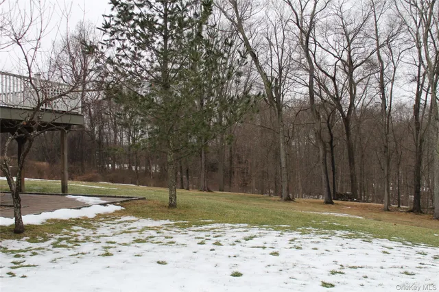 a view of a backyard
