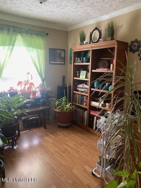 366 Davis Road Coldwater, MS 38618 - Photo 15 of 45 IMG_4069