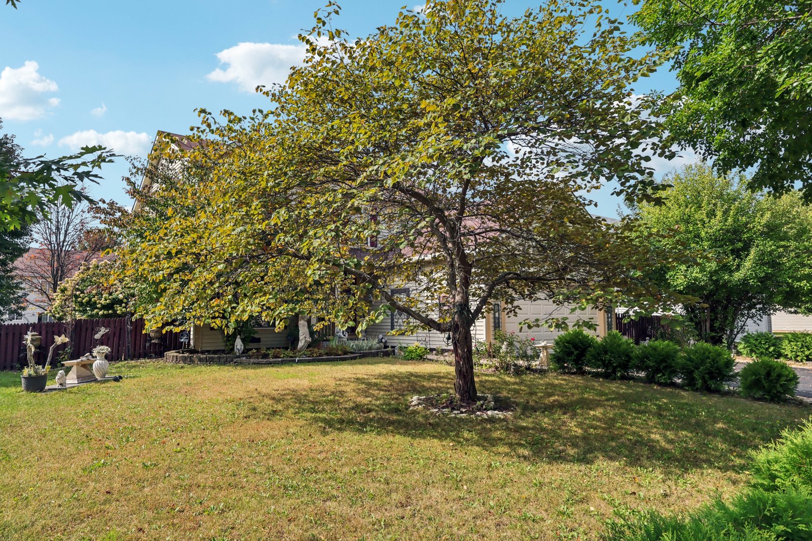 3304 Alyssa Street Plano, IL 60545 - Photo 3 of 30 a view of yard with tree