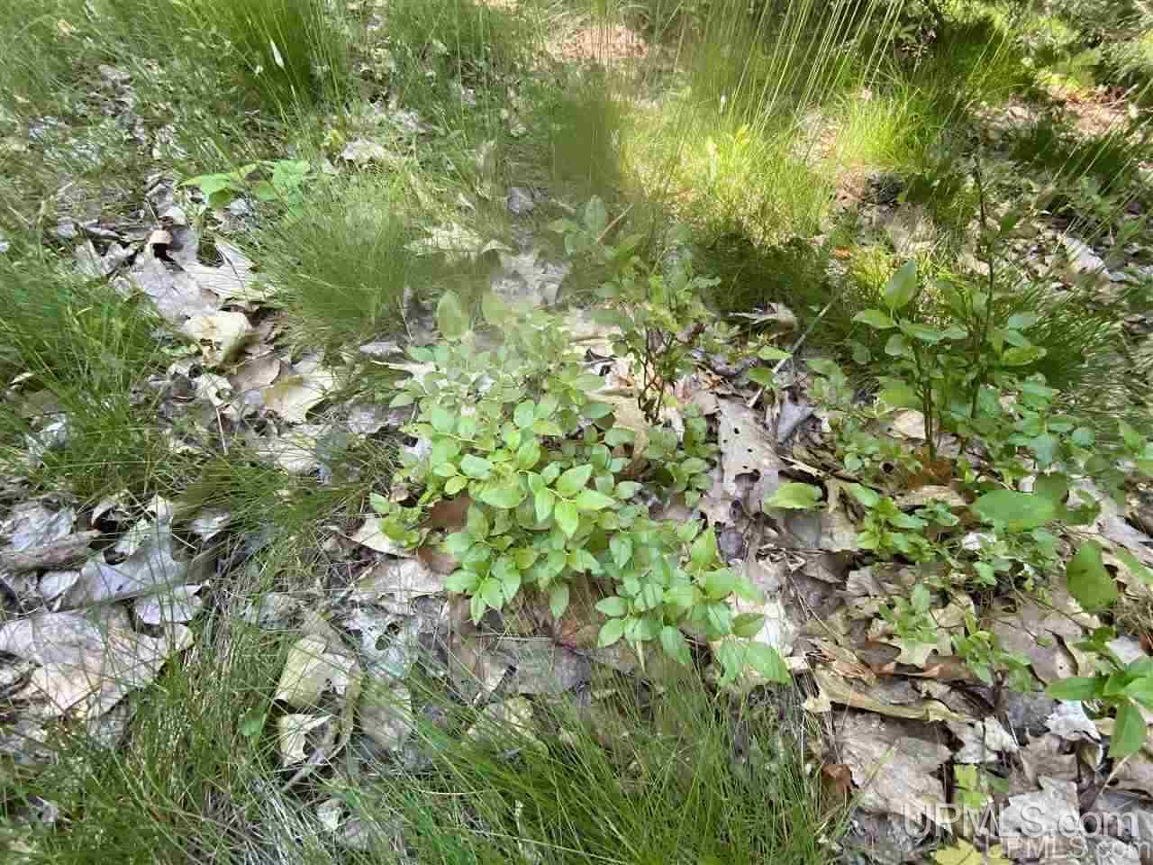 3423 Co Road Big Bay, MI 49808 - Photo 20 of 27