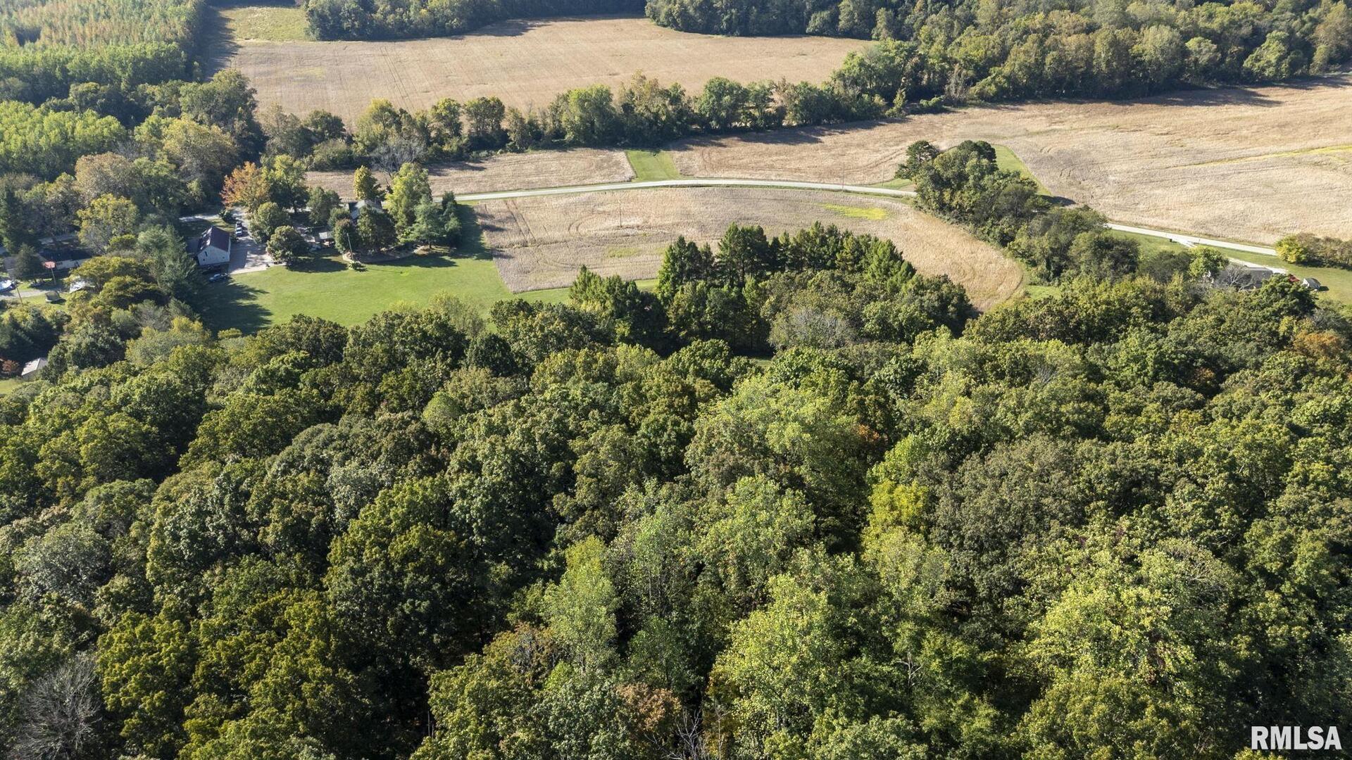 1810 Berryville Road Jonesboro, IL 62952 - Photo 56 of 60 a view of a lake view