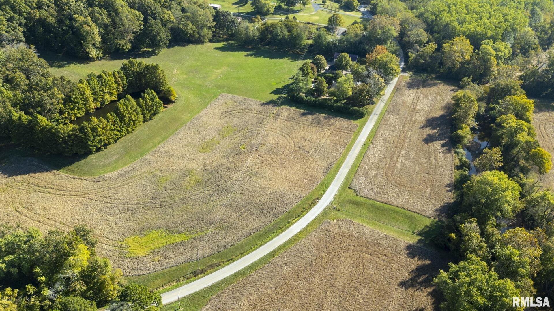 1810 Berryville Road Jonesboro, IL 62952 - Photo 58 of 60 a view of a yard with plants