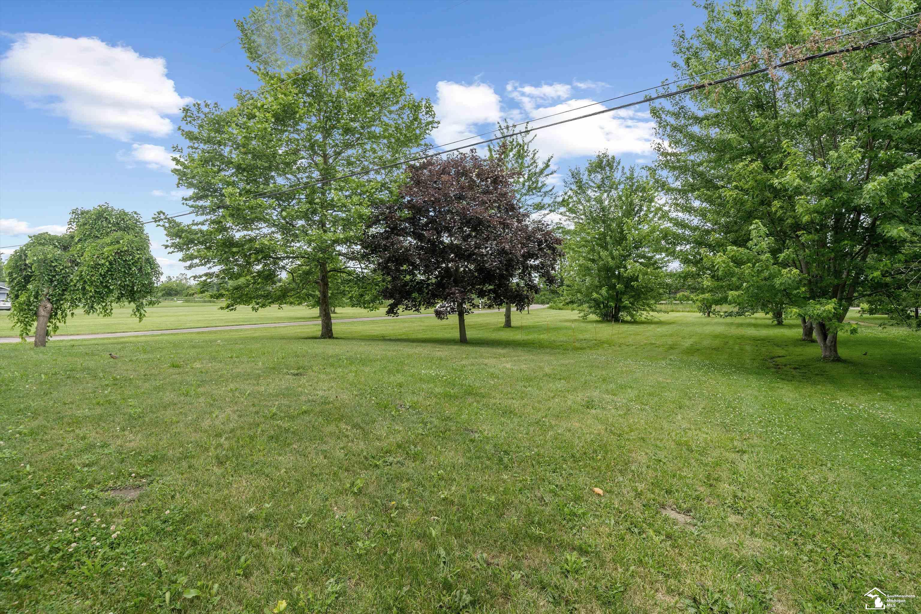 24677 Waltz Road New Boston, MI 48164 - Photo 64 of 66