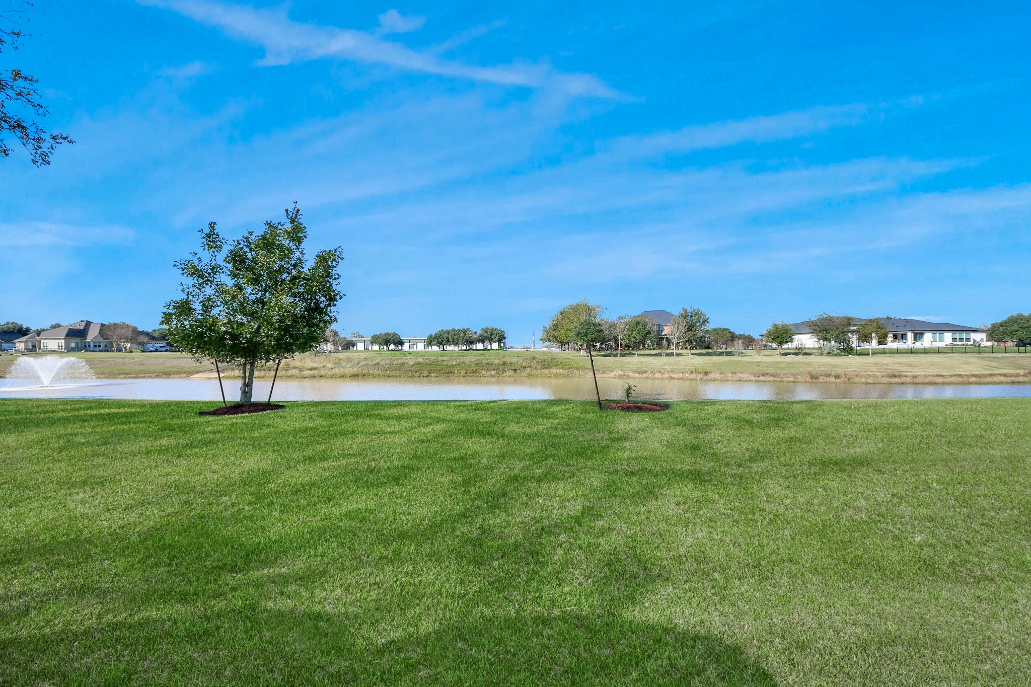 3511 River Bend Drive Rosenberg, TX 77471 - Photo 45 of 50 a view of a green field with an trees in the background