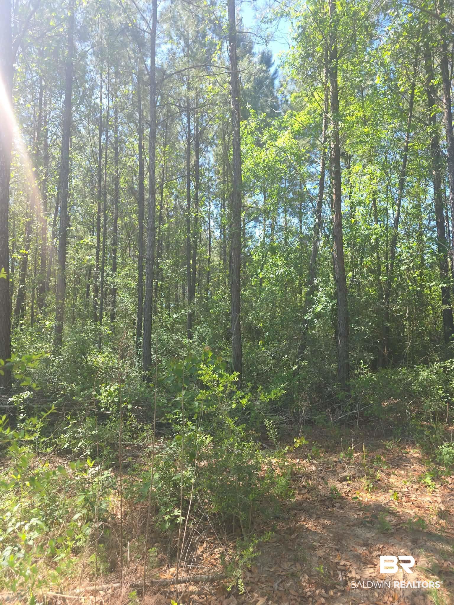 0 Smallwood Lane Seminole, AL 36574 - Photo 2 of 7