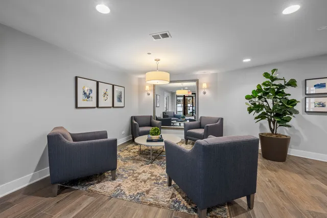 a living room with furniture potted plant and a chandelier