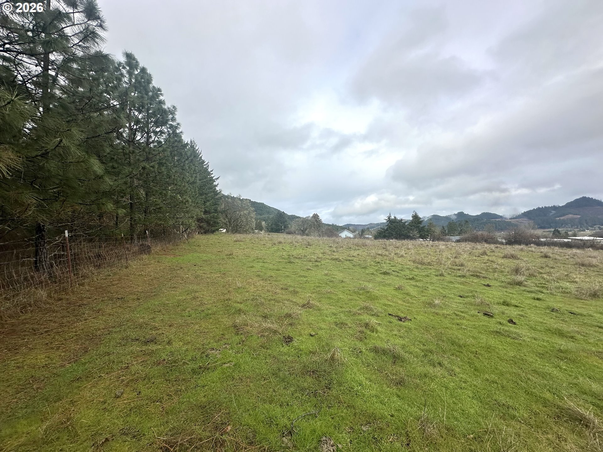 0 1st Street Yoncalla, OR 97499 - Photo 3 of 8