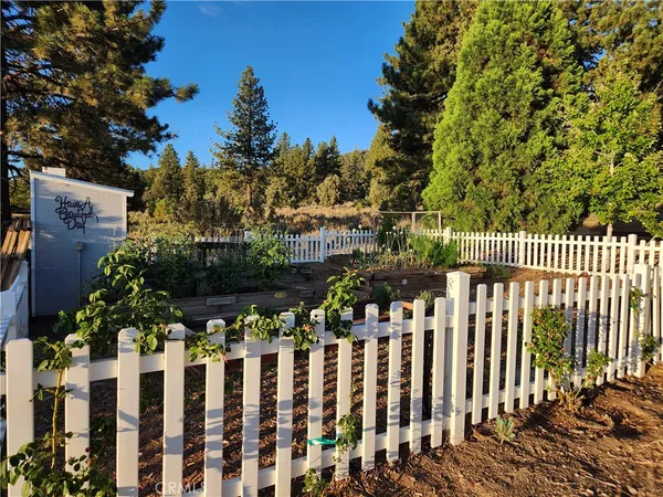 a view of a pathway with a garden