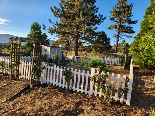 a view of a house with a yard and plants
