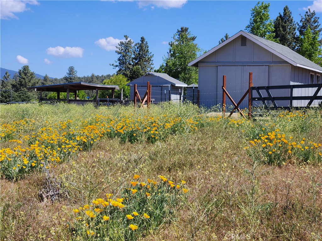 1014 Dusty Road Frazier Park, CA 93225 - Photo 13 of 40 a view of a house with a yard and plants