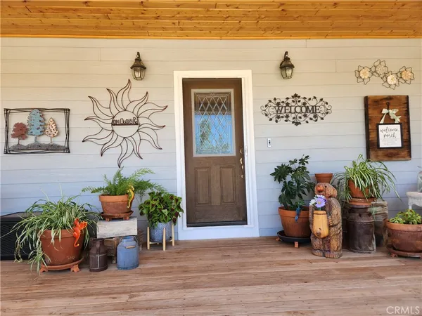 a potted plant sitting on the wooden floor