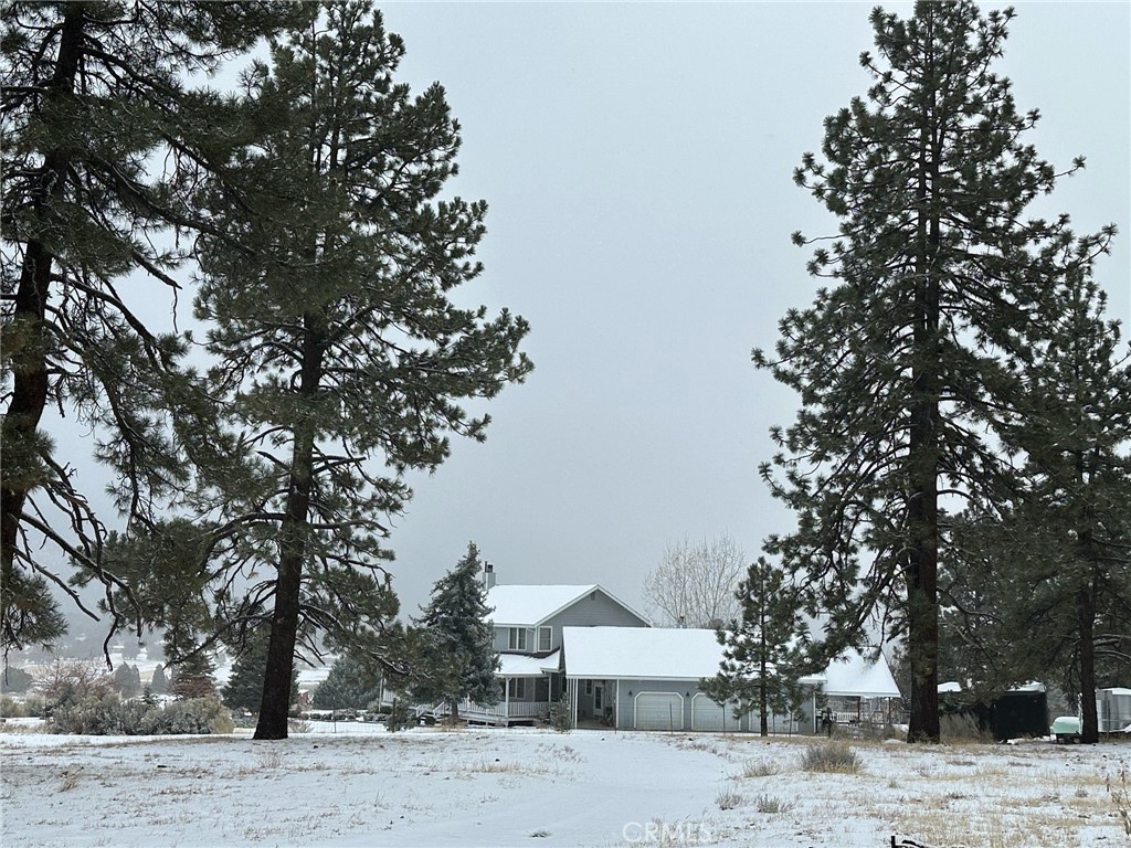 1014 Dusty Road Frazier Park, CA 93225 - Photo 39 of 40 a outdoor space with lots of trees