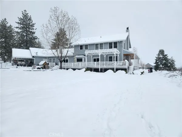 a tall building with a large tree in front of it