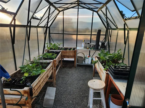 a room with lots of potted plants and glass door