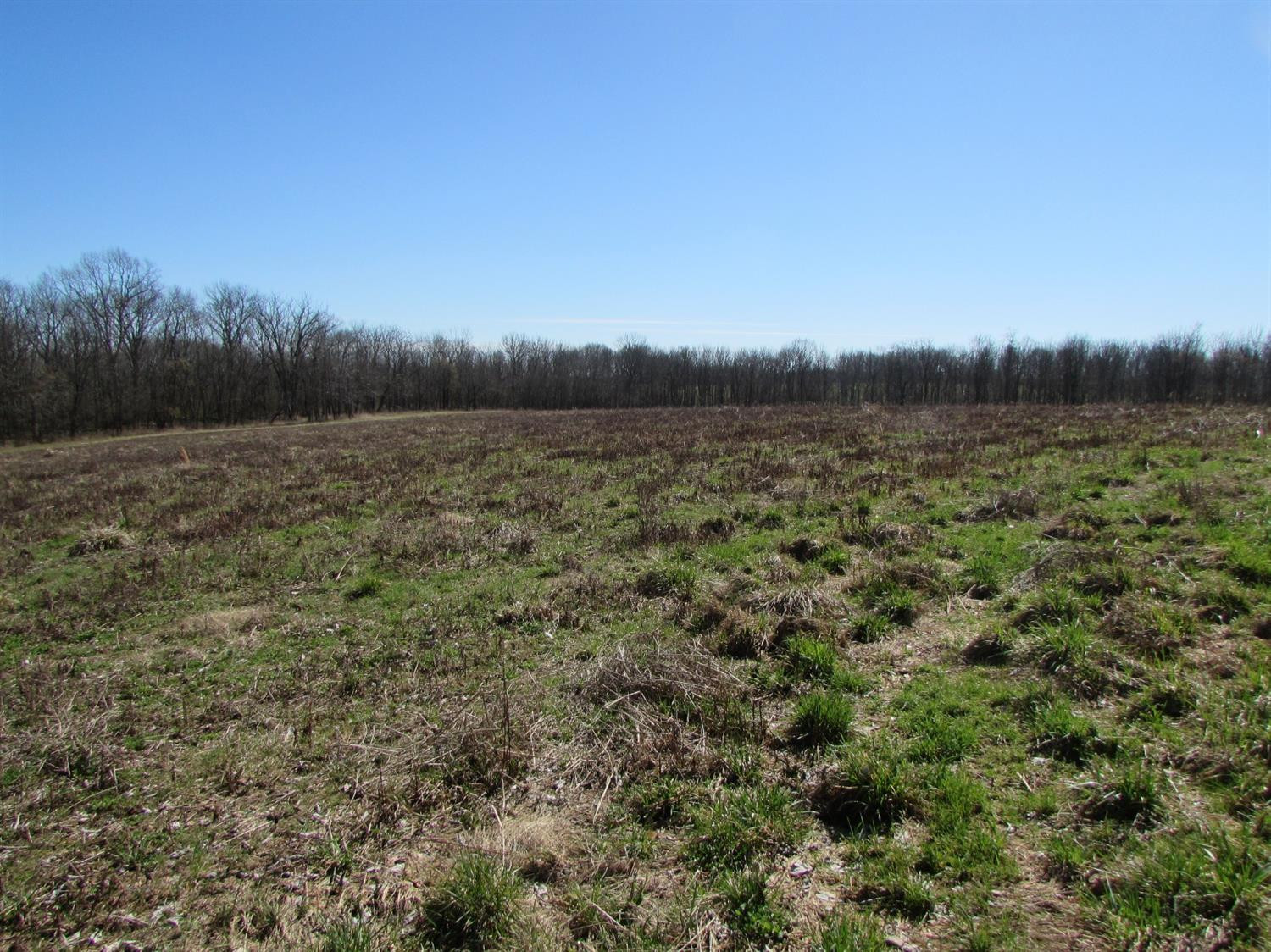850 Austerlitz Road Paris, KY 40361 - Photo 4 of 12 Photo 4